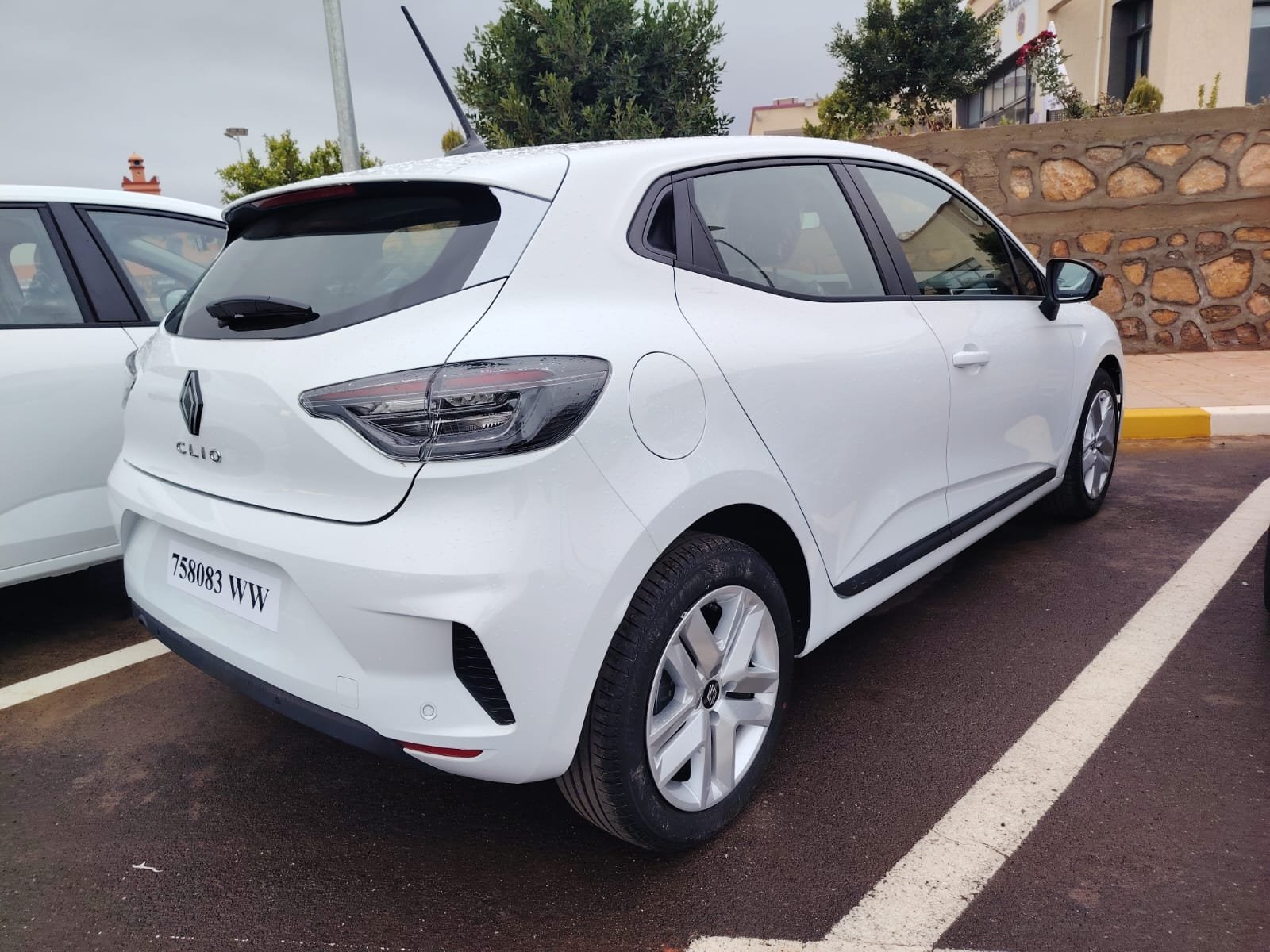 WhatsApp Image 2026-02-04 at 10.09.04 (3)